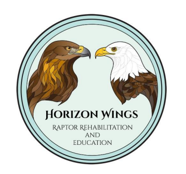 Horizon Wings – A Case of Mistaken Identity