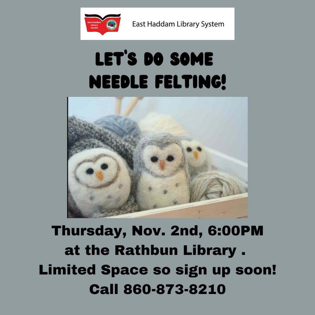 PROGRAM FULL – Needle Felting Craft Night Thursday, November 2nd, 6:00 at the Rathbun Library